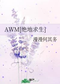 AWM[绝地求生]